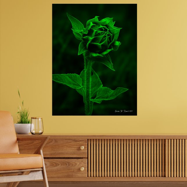 "Sunflower Bud"  Poster (Living Room 2)
