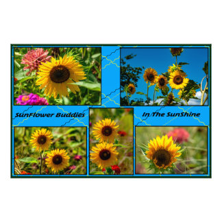 SunFlower Buddies In The SunShine Photo Print