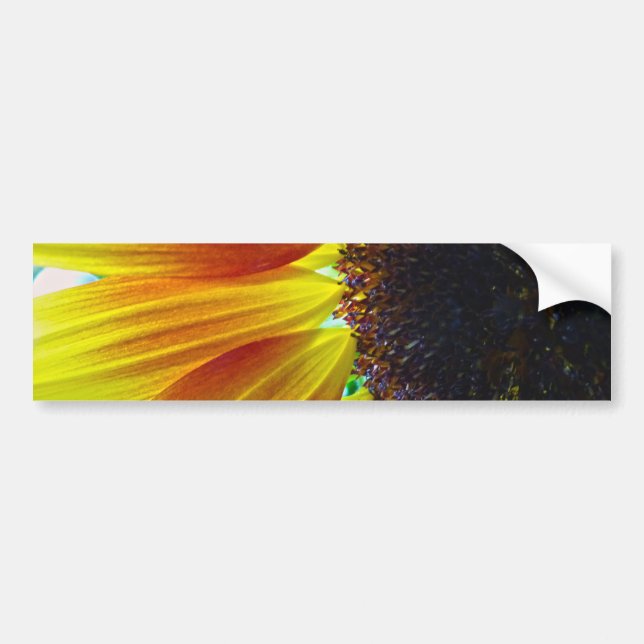 Sunflower Bumper Sticker (Front)