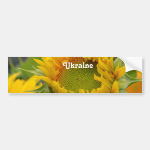 Sunflower Bumper Sticker