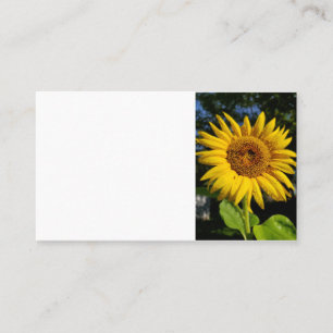 Sunflower Business Card