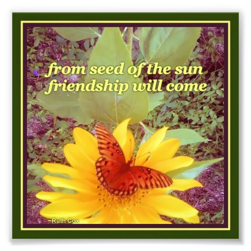 Sunflower Butterfly Friendship Seeds Photo Print