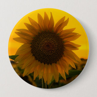Sunflower 🌻  button