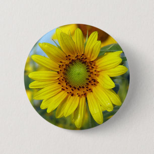 Sunflower Button