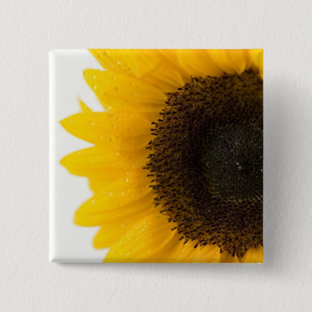 sunflower button (Front)