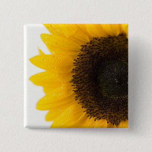 sunflower button