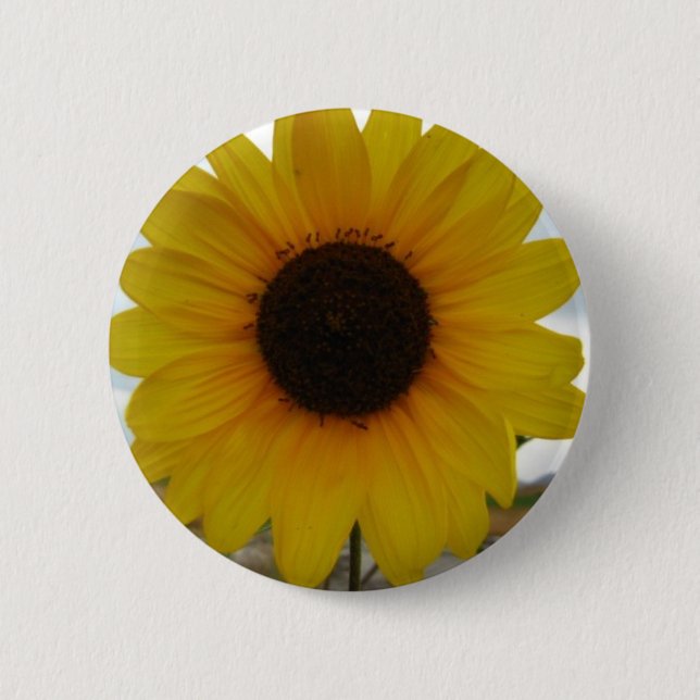sunflower button (Front)