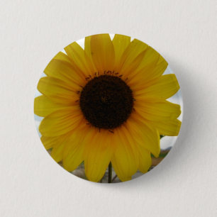 sunflower button