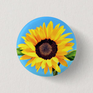 Sunflower Button