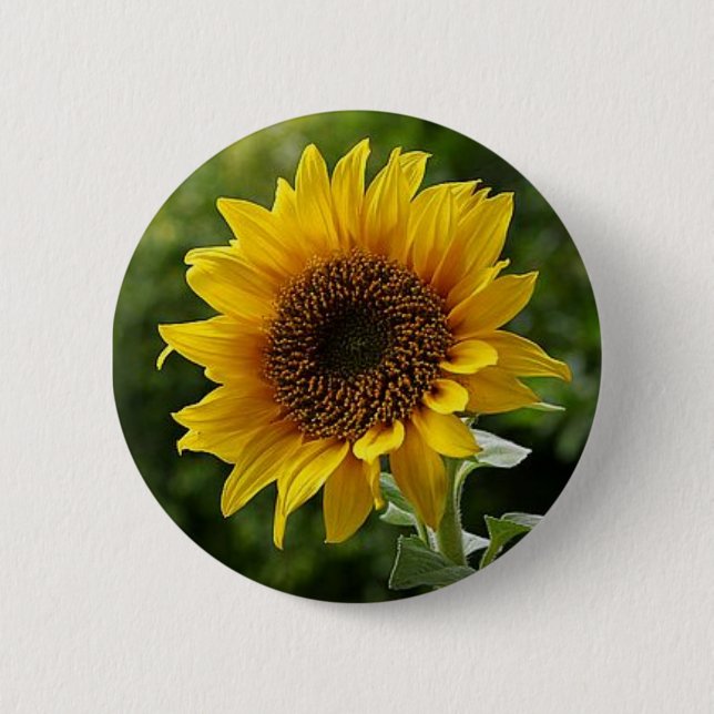 Sunflower Button (Front)