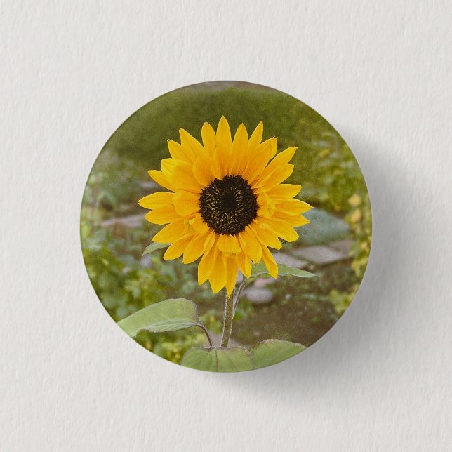 Sunflower  button (Front)