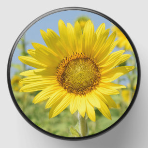 Sunflower candle mini candle favors