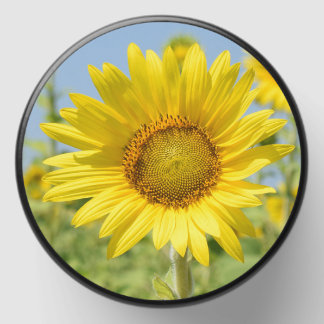 Sunflower candle mini candle favors