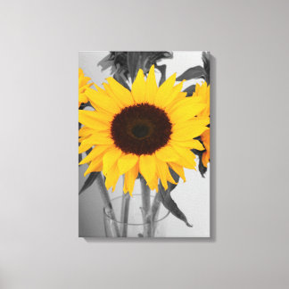 Sunflower Canvas Print