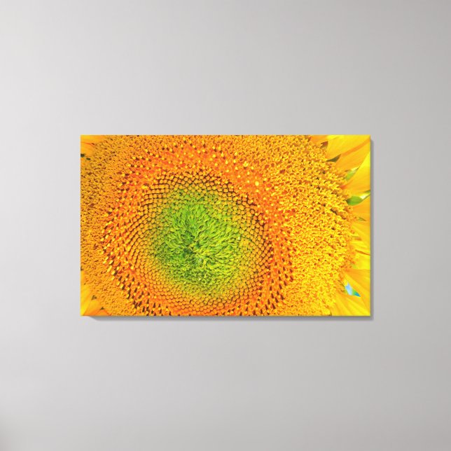Sunflower canvas print (Front)