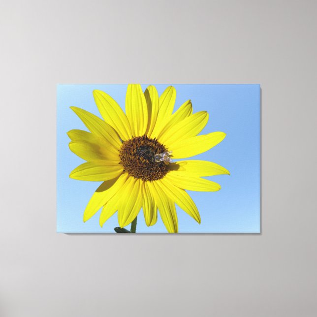 Sunflower Canvas Print (Front)