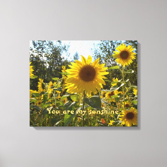 Sunflower canvas print (Front)