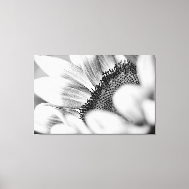 Sunflower Canvas Print (Front)