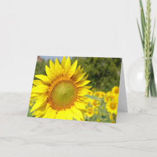 sunflower card
