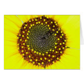 Sunflower card (Front Horizontal)