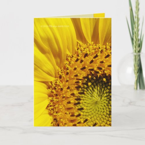 Sunflower Card