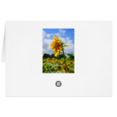 Sunflower Card (Back Horizontal)