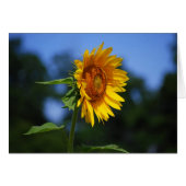 Sunflower Card (Front Horizontal)