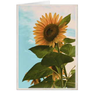 Sunflower Card - Blank