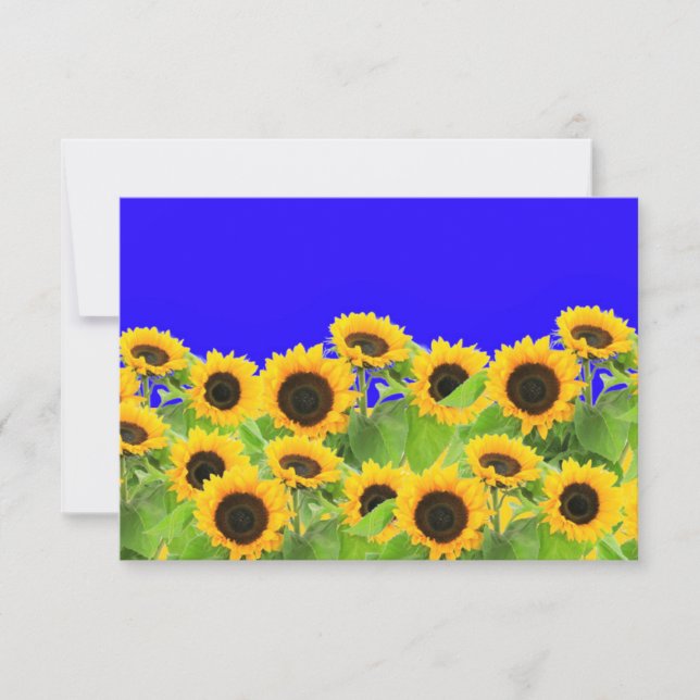 Sunflower Card Ukraine Flag Colors (Front)