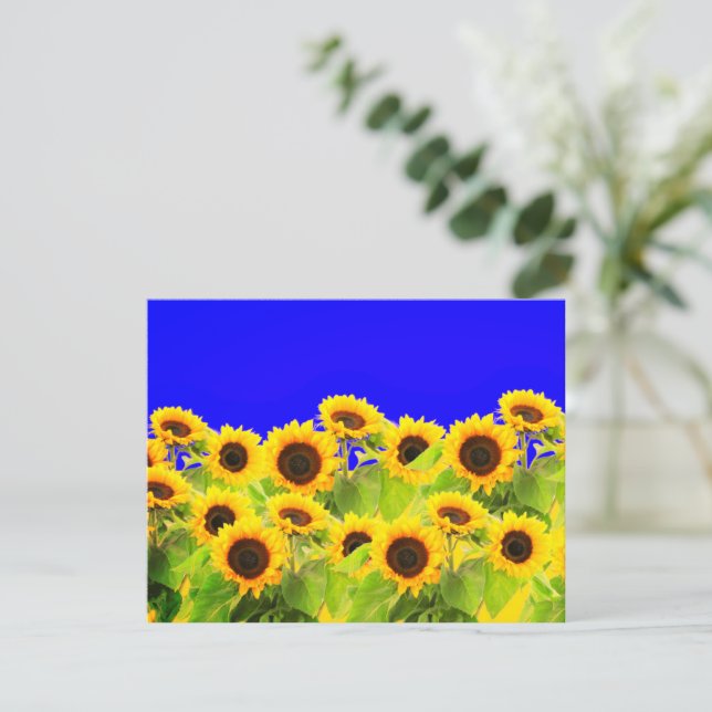 Sunflower Card Ukrainian Flag Colors - Freedom (Standing Front)