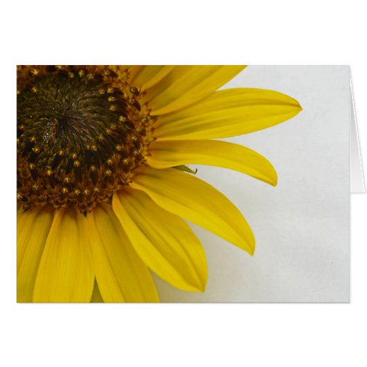 Sunflower Cards (Front Horizontal)