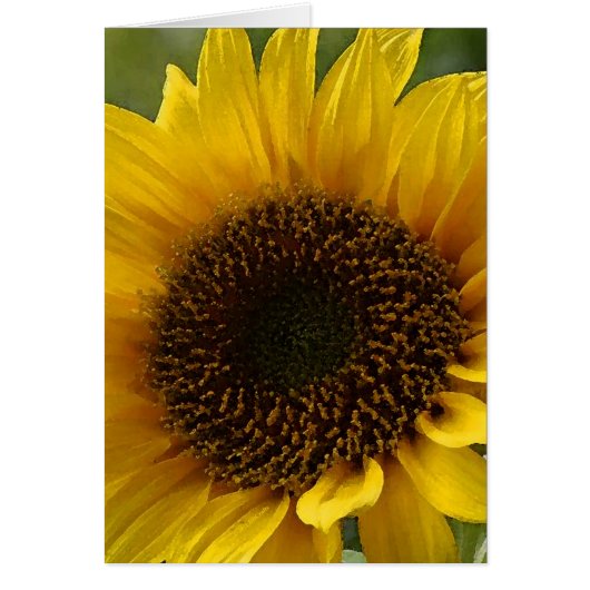 Sunflower Cards (Front)