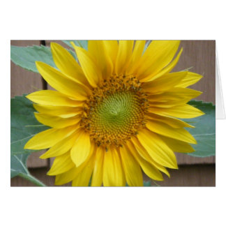 "Sunflower" Cards