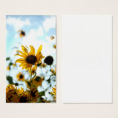 Sunflower Cards (Front & Back)