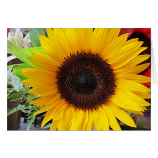 Sunflower Cards
