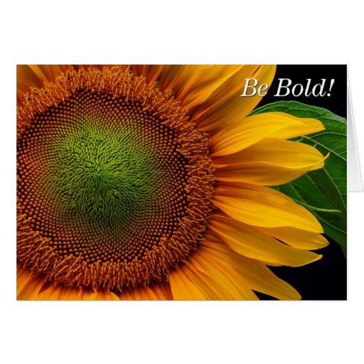 Sunflower Cards (Front Horizontal)