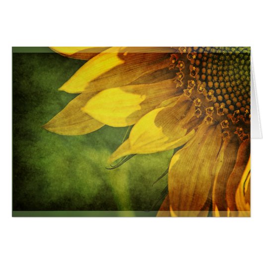 Sunflower Cards (Front Horizontal)