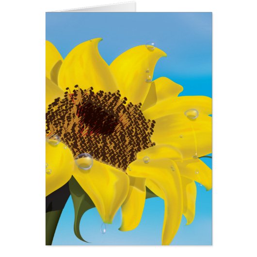 Sunflower Cards (Front)