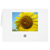 Sunflower Cards (Back Horizontal)