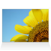Sunflower Cards (Inside Horizontal (Top))
