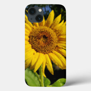 Sunflower iPhone 13 Case