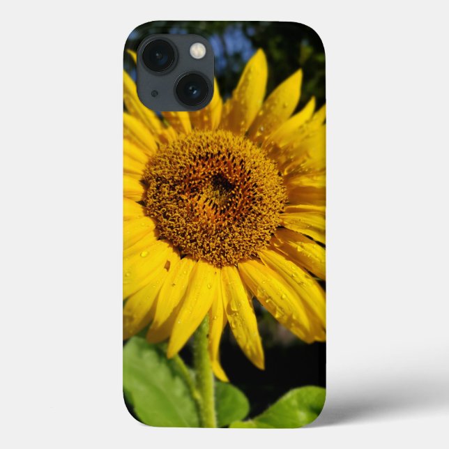 Sunflower Case-Mate iPhone Case (Back)