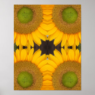 Sunflower Center Up Close Abstract  Poster