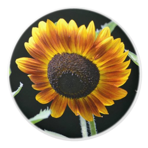 Sunflower Ceramic Knob