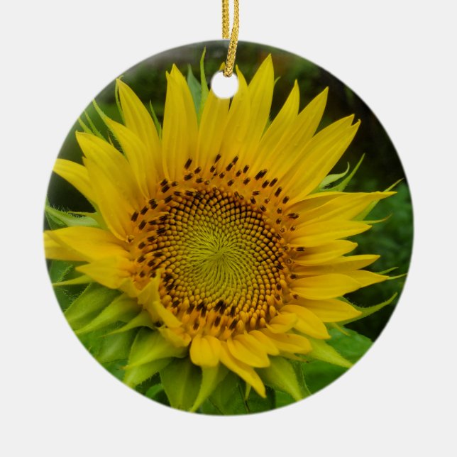 Sunflower  ceramic ornament (Front)