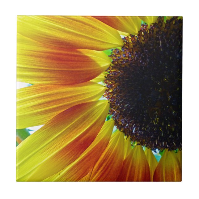 Sunflower Ceramic Tile (Front)