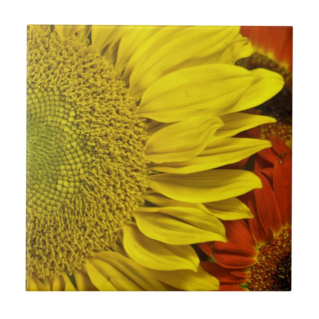 Sunflower Ceramic Tile (Front)