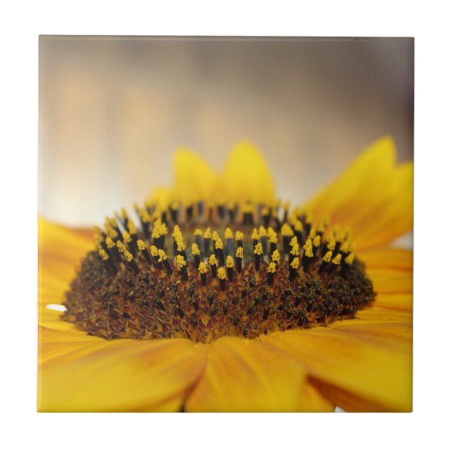 Sunflower Ceramic Tile (Front)