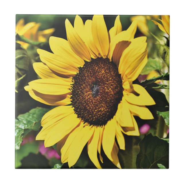 Sunflower  ceramic tile (Front)