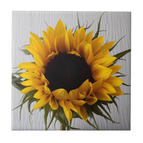 Sunflower Ceramic Tile